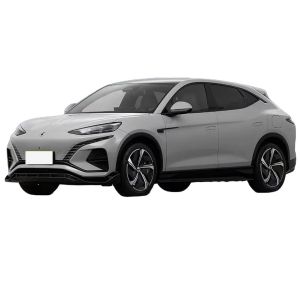 Maximum Power 390kW DENZA N7 N-Sport Edition 530hp Pure Electric Dual Motor Four