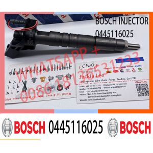 6420701187 0445116025 0445116026 0986435404 Manufacturer Supply Common Rail