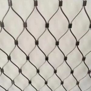 Stainless steel Decorative Plants Climbing Support Wire Rope Mesh