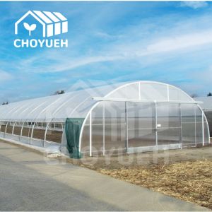 Quality Roof Ventilation Single Tunnel Greenhouse Flower Farm Greenhouse 10*30m for sale
