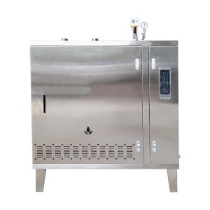 Natural Gas Fired Generator 90KW LPG Gas Powered Steam Generator