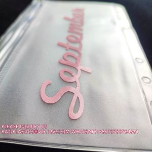 Reusable Cash Stuffing Binder Plan, Money Saving Binder Organizer Books Budget,