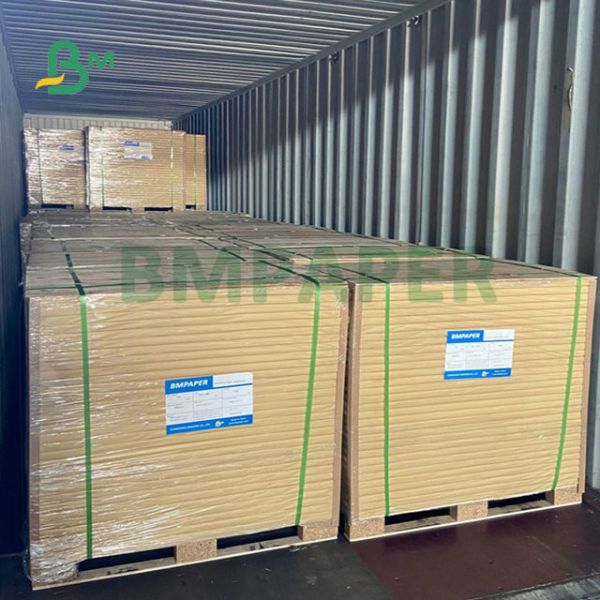 95mic 120mic 150mic A3 A4 Premium Backside Matte Never Tear Paper For Laser