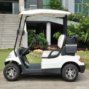 High Safe Mini Electric Vehicle Golf Cart With CE Certificate