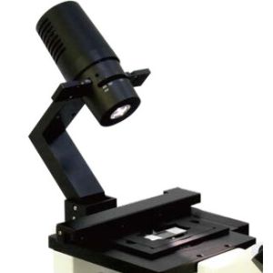 Streamlined Design B80iF Inverted Biological Microscope For Cell Tissue