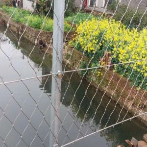 Wire Rope Plant Trellis System Stainless steel rope mesh