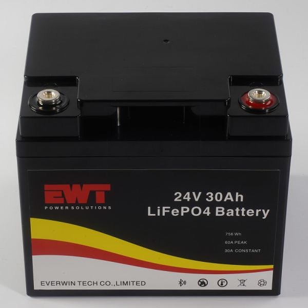 Buy Rechargeable Lithium Iron Phosphate Battery 24V 30AH LiFepo4 Battery Cell at wholesale prices