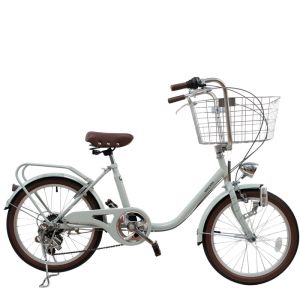 Customized OEM 6 Speed 20 Inch City Bike With Caliper Brake