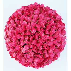 China Flower Topiary Artificial Plant Balls Plastic Faux on sale