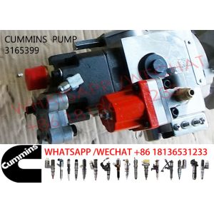 3165399 Cummins NTA855 3165355 3165400 Diesel Engine Fuel Pump
