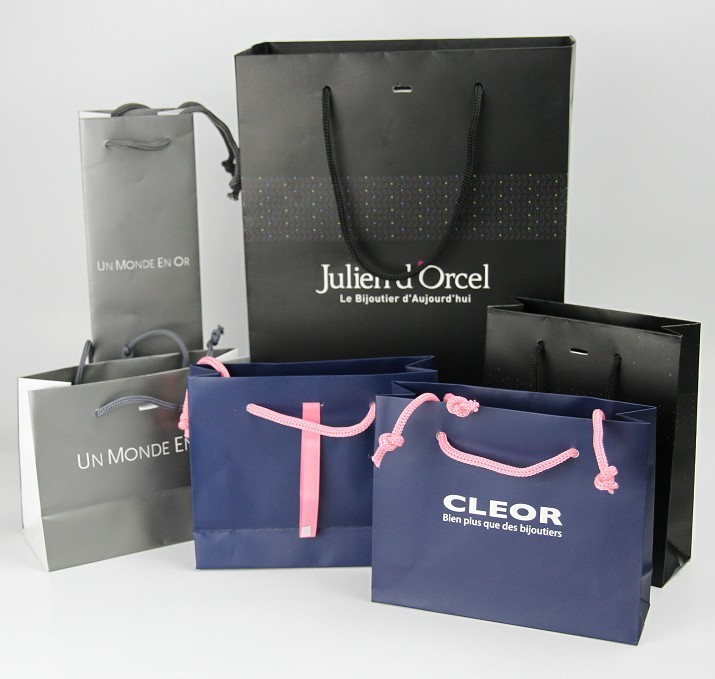 Custom Coated Foldable Paper Bag for Luxury Gift Paper Shopping Bag with
