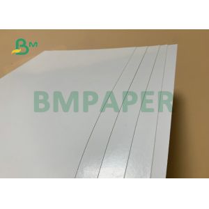 PE Coated Paper For Paper Plates 300gsm +18g PE In Roll