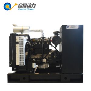 10kw-300kw Biogas Natural Gas Generator Set