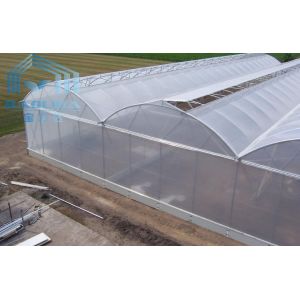 Agriculture Plants Growing Multispan Greenhouse Cooling System With Top / Sides