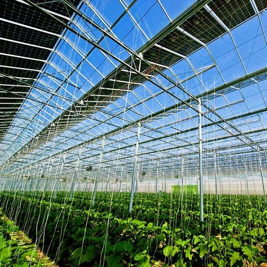 Intelligent Adjustable Height Greenhouse Lightweight Solar System Frame
