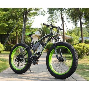 1000w 26 Inch Electric Fat Bike