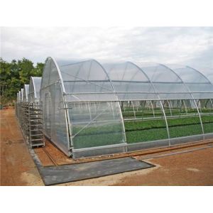 Mini Greenhouses UV Resistant Agricultural Durable Plastic Film and Sides