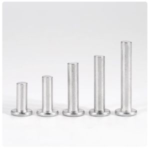 7/8 1 3/16 Stainless steel Flat head solid rivet SUS304 SUS316 A2-70 Customized