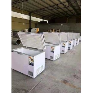 Custom Refrigeration Industrial Water Chillers Double Door Refrige