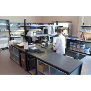 PLGF Placental Growth Factor Elisa Test Kit