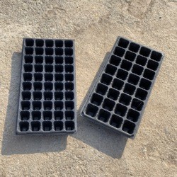 50 Holes Plastic Seedling Tray Nursery Tray For Flower And Trees Cell Tray