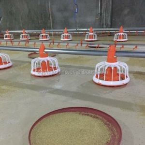 Ss304 Poultry Automatic Drinkers Automatic Chicken Watering System