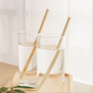 8cm Reusable Eco Friendly Straws Travel Juice Coffee Cocktail Straws