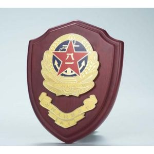 medal, award, medallion, emblem, medals