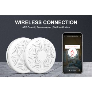 Tuya Wifi Smart Carbon Monoxide And Smoke Alarm 2 In 1 Detector Sensor
