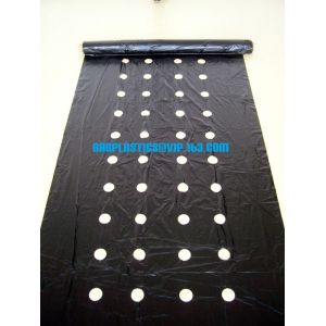 Black film, White film, Silver film, Mulching film, Perforated Film, Agricultura