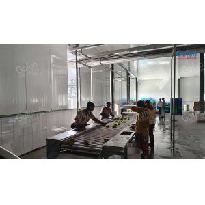 Custom Tomato Processing Line for Paste Sauce Juice Production