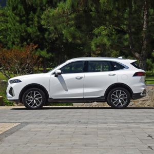 180km/h Max Speed GWM WEY Mocha Coffee 2 Latte DHT PHEV 1.5T Version 5-Doors 5