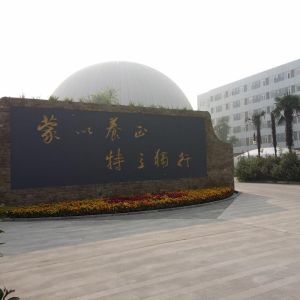 Customized White Dual Membrane Biogas Dome / Biogas Balloon 50 – 20000m3