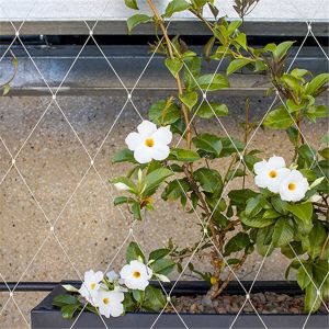 Plant Climbing Green Wall Stainless Steel Cable Mesh 3.2mm