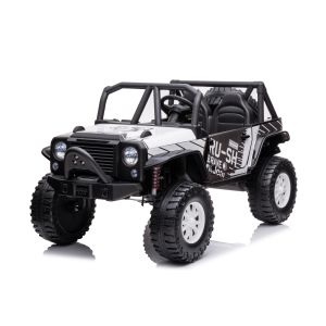 24 Volt Ride On Toys with Remote Control and 2 Seater Plastic PP Material