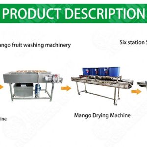 Garlic Vegetable Processing Machine Price Air Bubble Water Washing Machine