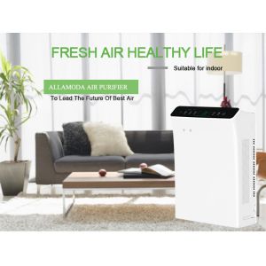 560m3/h True Hepa Filter Air Purifier 72W 325 CFM Odour Removal