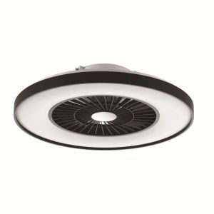 Ceiling Fan Light with Black Painting Frame(323115-8)