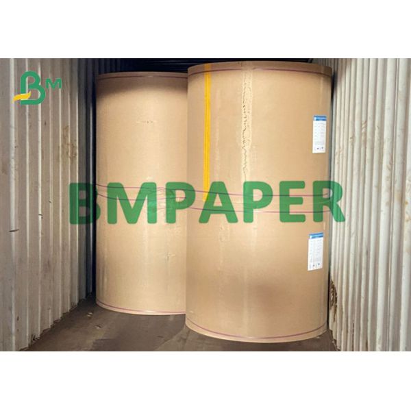 300gsm 320gsm PE Coated Cup Raw Material Paper Roll For Hot Tea 300gsm 320gsm PE Coated Cup Raw Material Paper Roll For Hot Tea