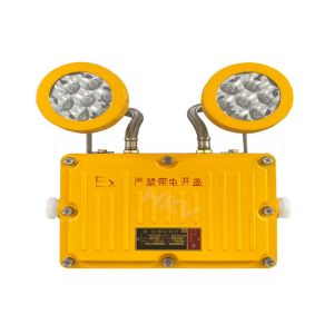 Rechargeable Explosion Proof Emergency Light With Double Emergency Light