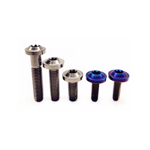 DIY Titanium Nuts And Bolts Screw Torx Head Titanium Fastener Anti Corrosion