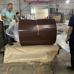 Customized Prepainted Galvanized Steel Coil PVDF / PE Coatings