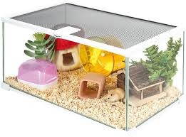 Transparent PETG Plastic Sheets For Hamster Boxes