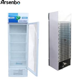 Single Door Commercial Refrigerator Beverage Cooler 350L Multiscene Durable