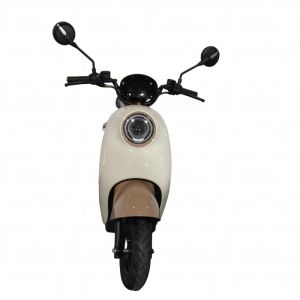 LY-MNG6Electric motorcycle Electric bicycle adult electric scooter