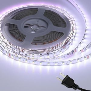 China Customizable Cct 3000K/4000K/6000K LED Strip Lights for US Socket Type and DC12V Power Input on sale