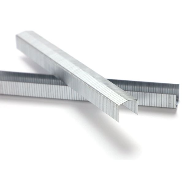 Stcr5019 Series 20 Gauge 11.60mm Crown 12mm Furniture Staple