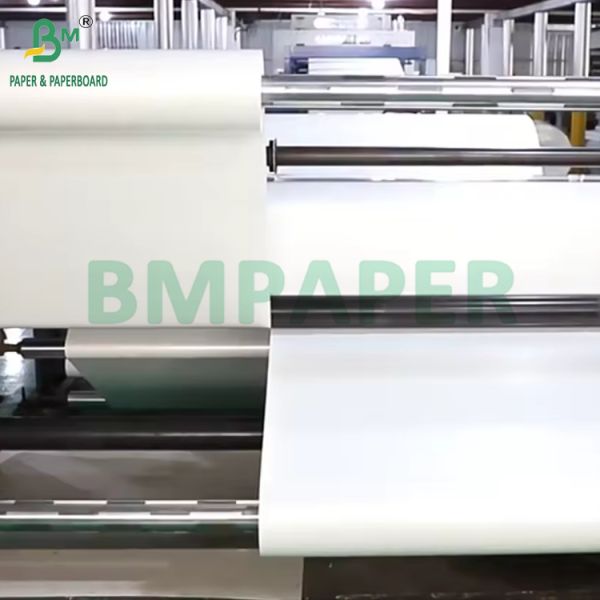 190gsm + 15g PE Coated Cupstock Paper Roll For Hot or Cold Beverage High Bulk