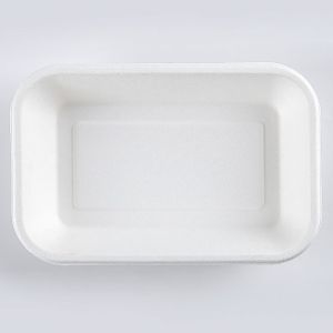 Biodegradable container, Disposable dining box for sugarcane pulp rectangular