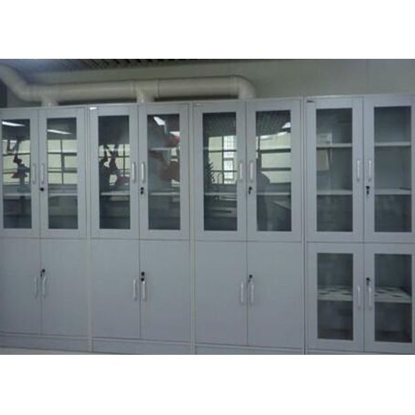 Buy Custom Large Laboratory Storage Cabinets With Aluminum Alloy Handle at wholesale prices